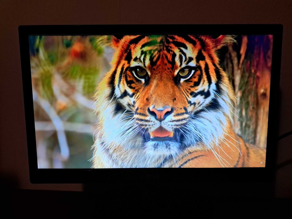 Монитор 18.5" - 19MN43D-PZ (със звукова система)