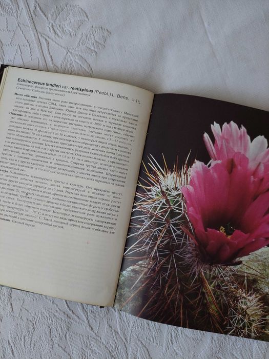 Книга-справочник Кактусы