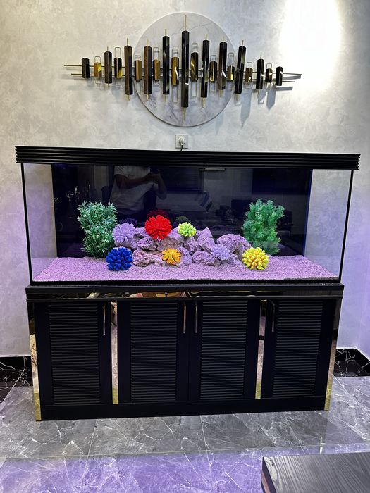 Aquashop akvarium dókoni