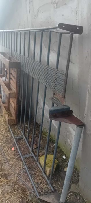 Vand porpagaj de citroen