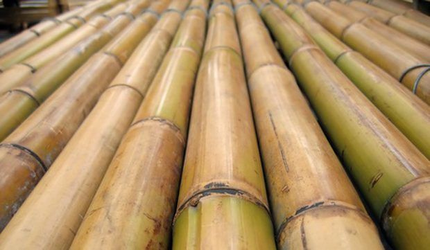 Разпродажба на Бамбукови Пръчки, Диаметър до 16 см, Пръти с дълж.300см