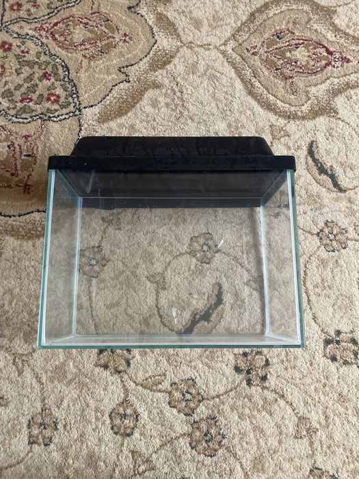 Аквариум в хорошем состояние