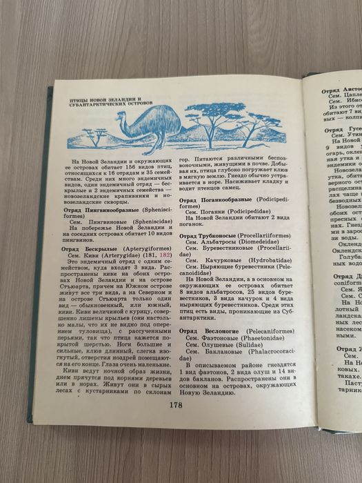 Птицы разных материков книга СССР