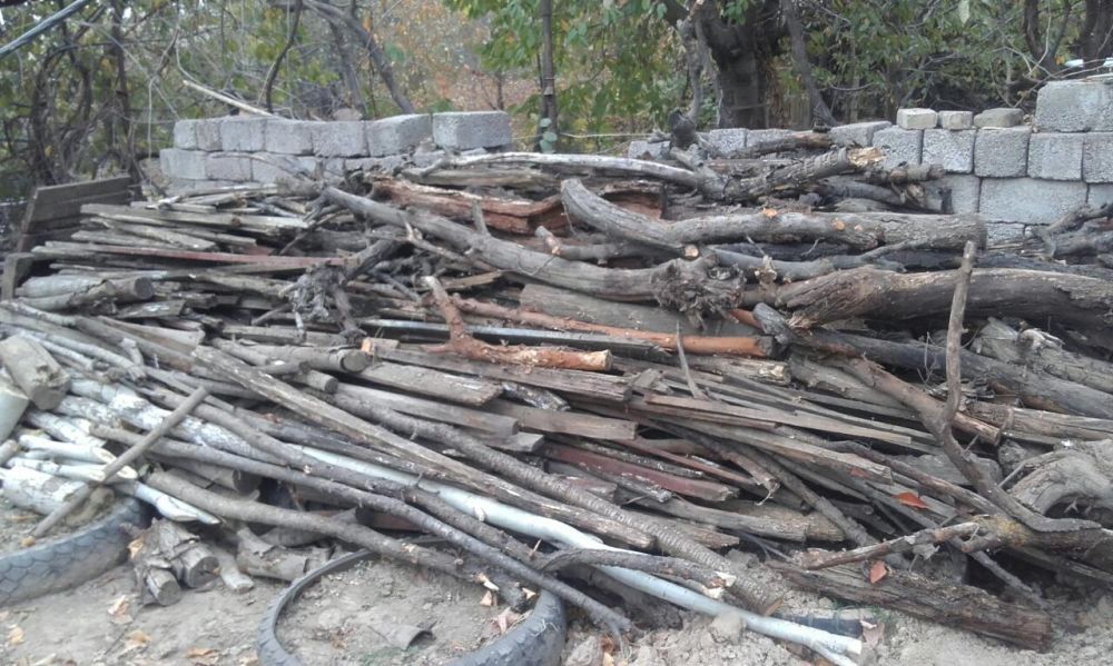 Дрова фруктовые деревья ,тополя