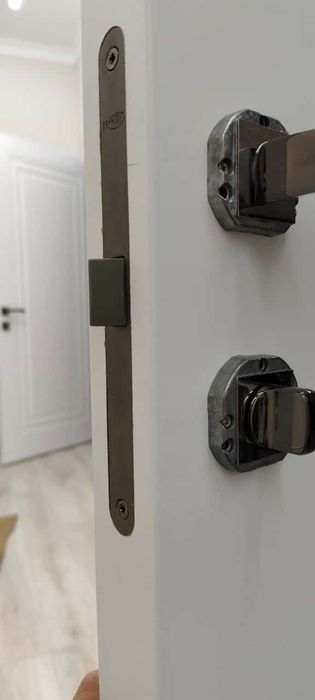 Установка дверей  от профессирнала