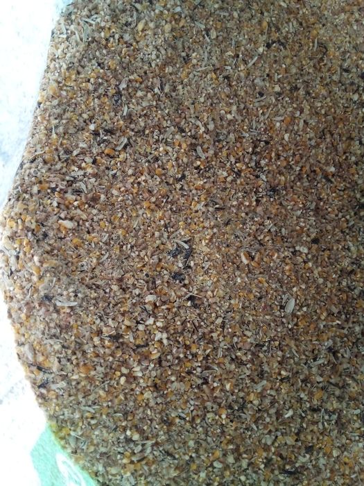 Cereale aduse gratuit la dumneavoastră acasă