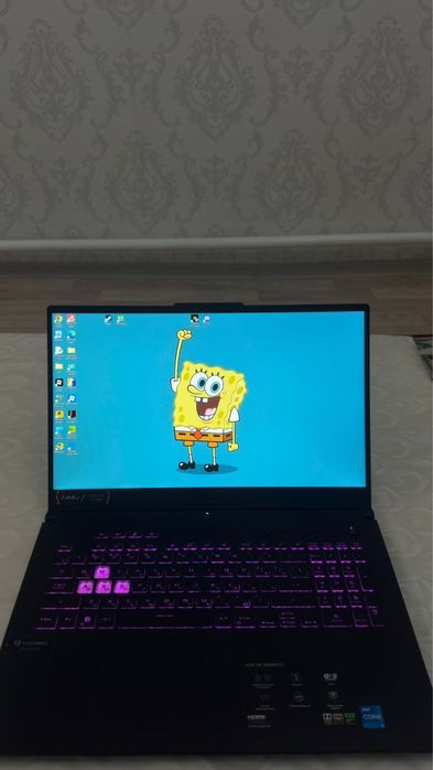 Asus Tuf Gaming F 17