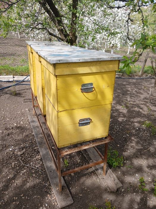 Lada albine 12 rame jos 12 rame sus