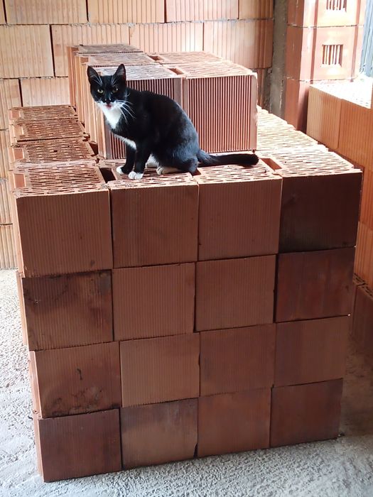 Cărămidă Wienerberg Porotherm 30  STH