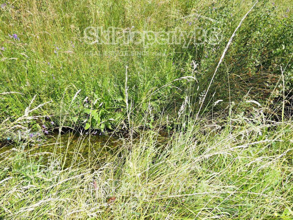 Продава се Парцел в Банско - 4700 кв.м за 11 €/кв.м - Снимка #8