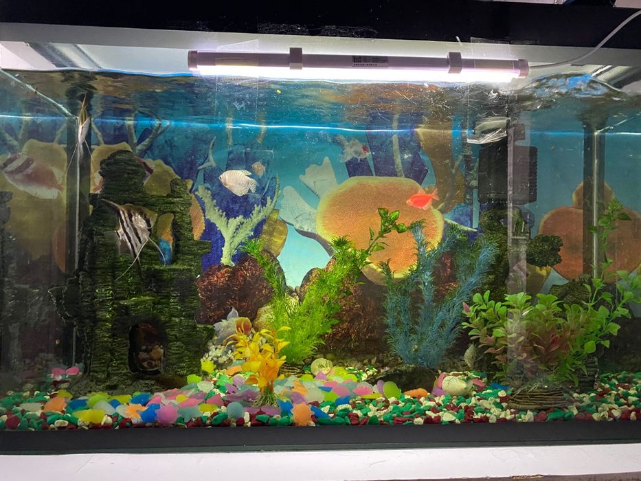 Продам аквариум 90 литров