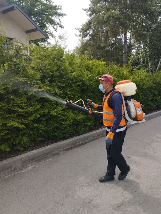 Озеленение. Проектирование.