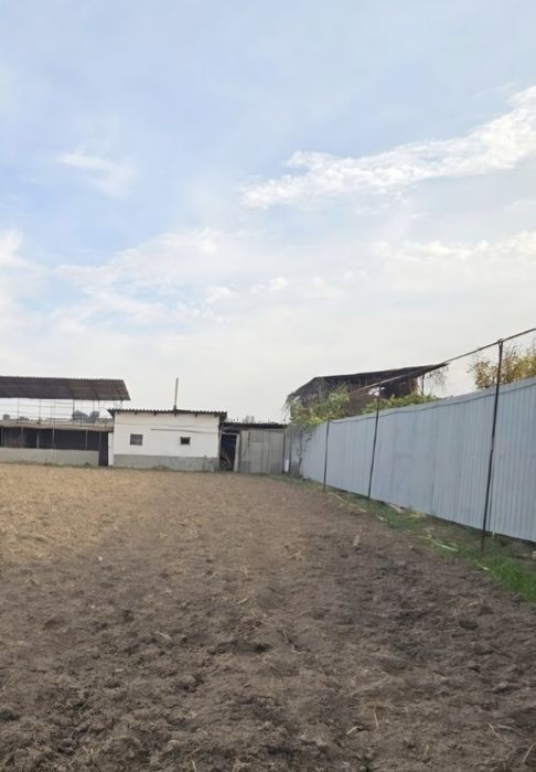 Дурмон  САНИИФда 7 сотихли ер участкаси сотилади .