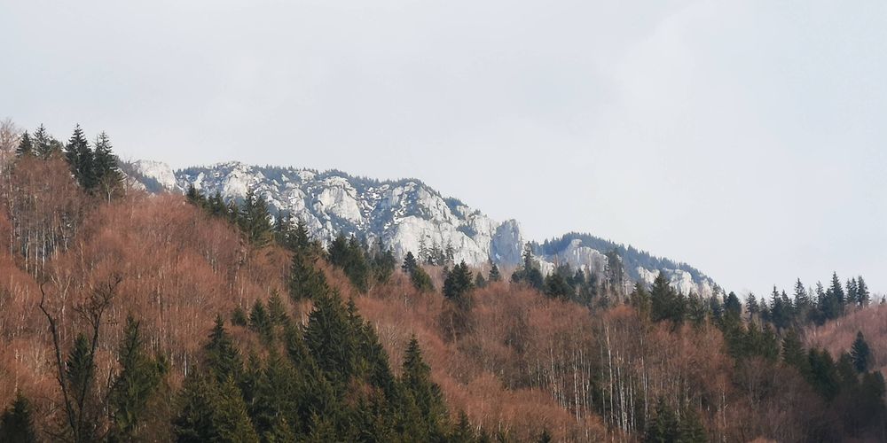 Vând teren Saticul de Sus/Jud.Arges