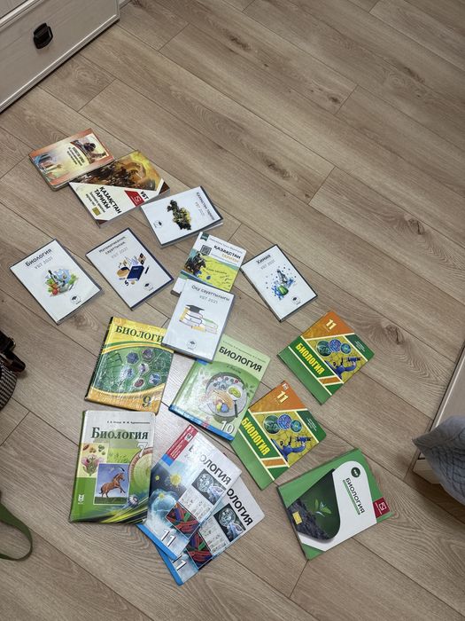 Кітап 11 сынып ұбт