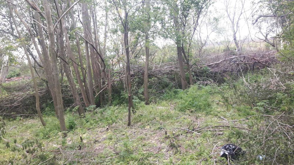 Продава се Парцел в с. Смин, Област Добрич - 500 кв.м за 47 €/кв.м - Снимка #1