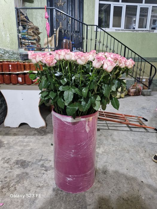 Цветы свежие новые