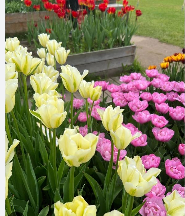 Массаж на выезд и у себя..