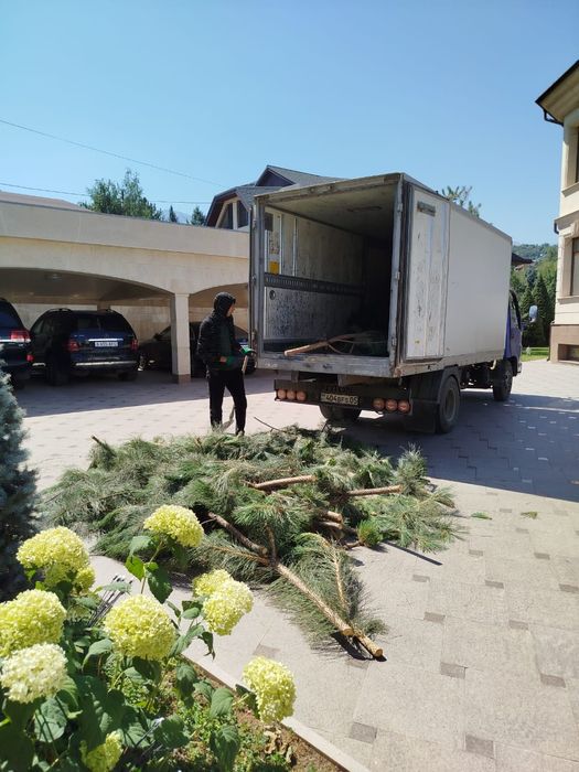 НЕ ДОРОГА вывоз мусора