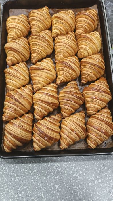 Bulochka  kelishuv asosida oʻrgatamiz