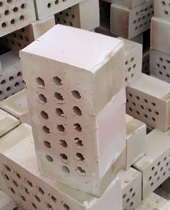 Pishgan va xom ĝishtlar