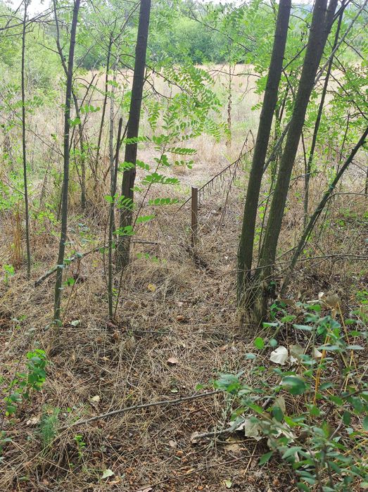 Продава се Парцел в Нова Загора - 980 кв.м за 17 €/кв.м - Снимка #4