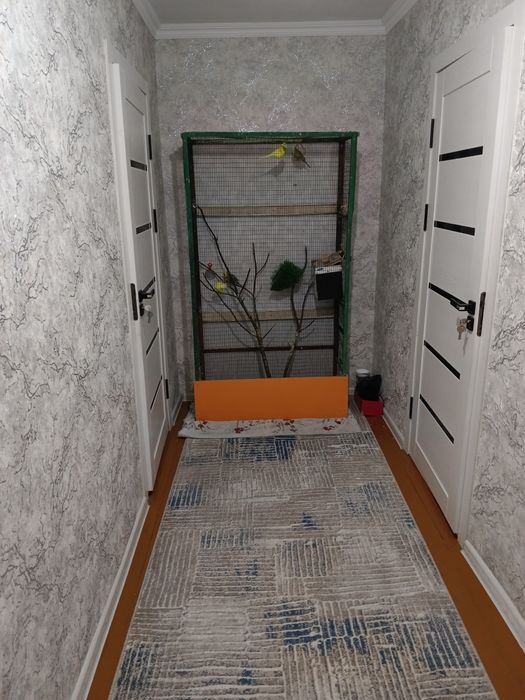 Продается клетка с попугаями