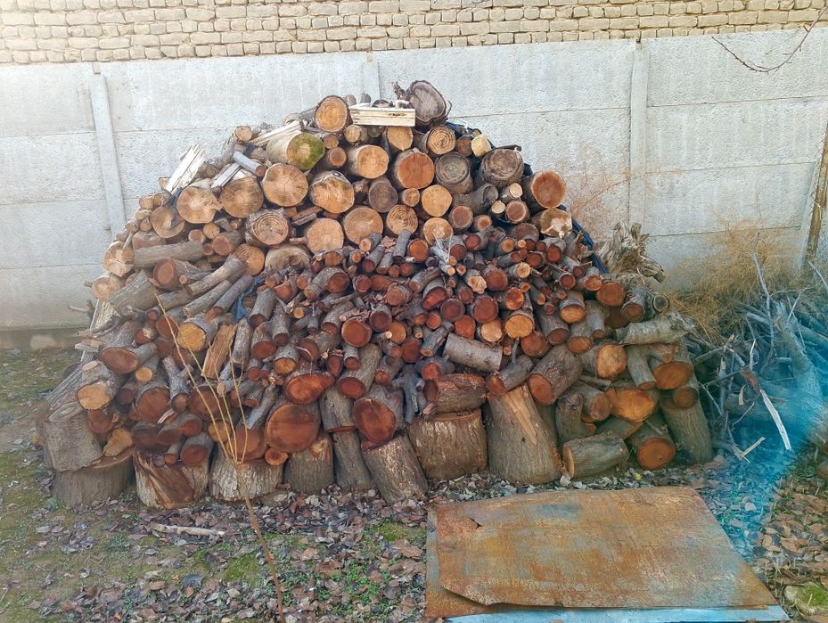 Otinlar yaxshi holatda