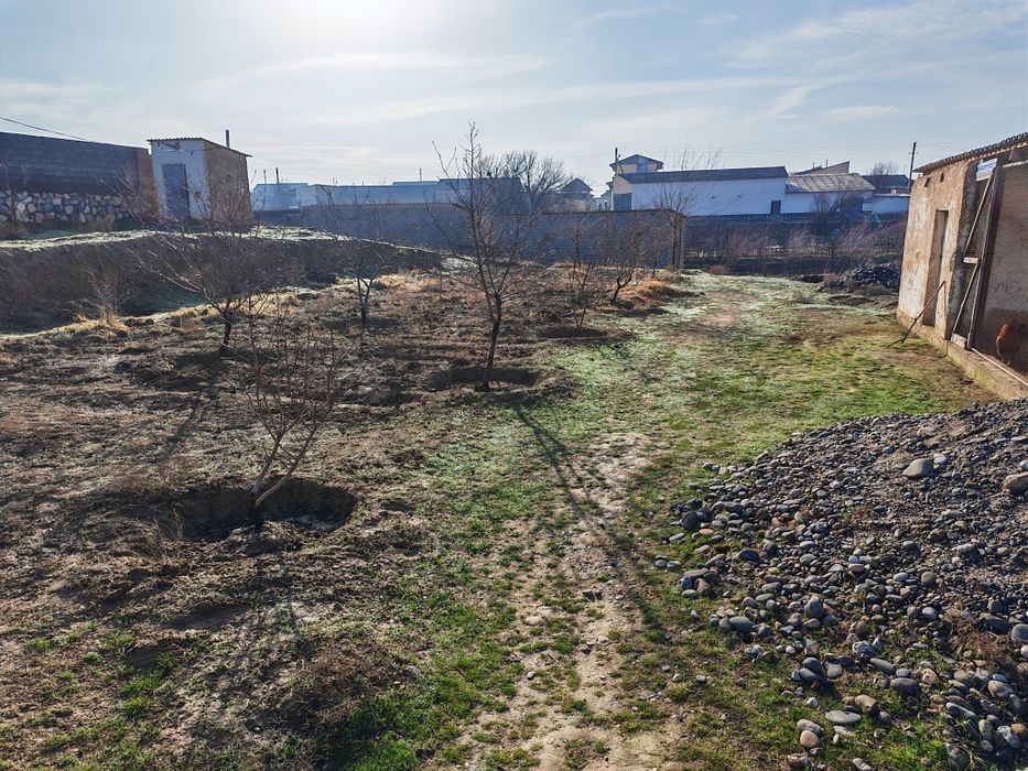 Nurobod shahri Sharq Yulduzi MFY "Yangi Mernida" da hovli sotiladi.