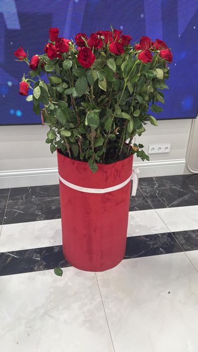 Продам цветы недорого
