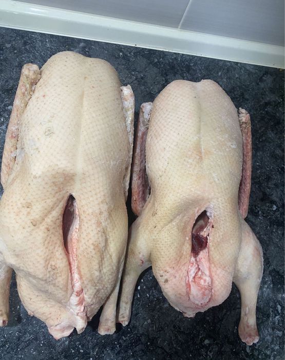Продам мясо домашних уток и гусей