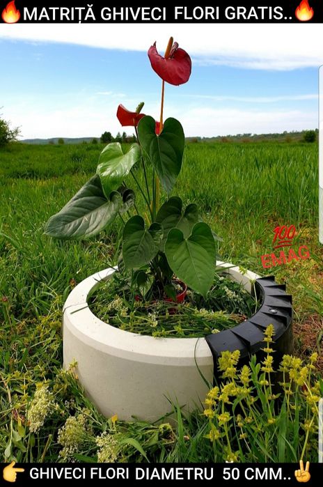 CADOUL 10+4 GRATIS matrite piatra decorativa matrite pavaj constructi