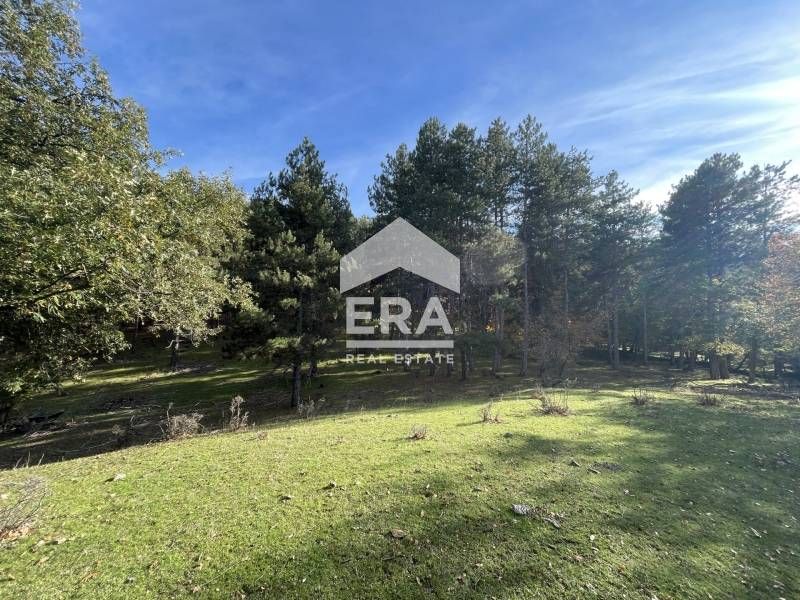 Продава се Парцел в с. Гургулица, Област Кърджали - 3342 кв.м за 50 €/кв.м - Снимка #10