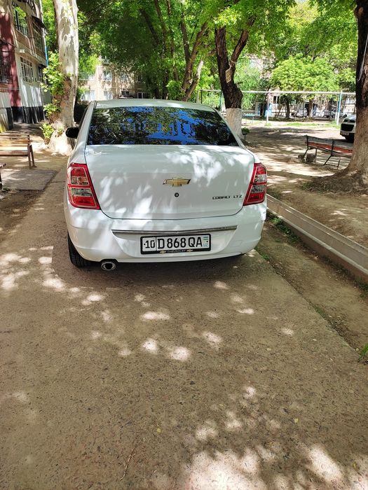 Other Cobalt 2020 — 3