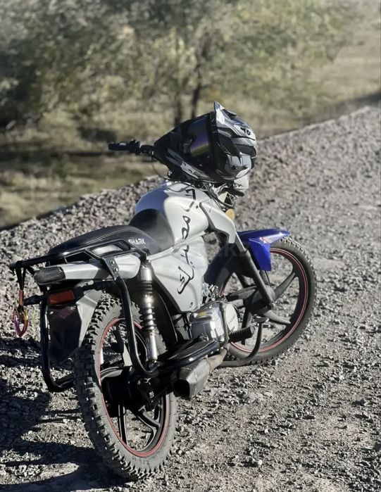 альфа шарк 125куб