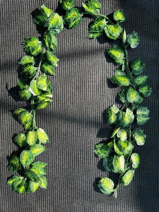 Osma gullar - Висячие цветы