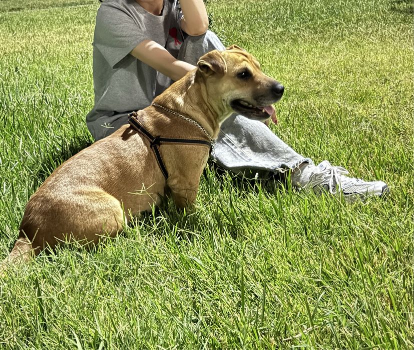 Продается срочно