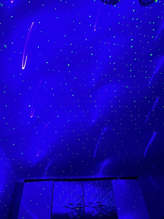 Света  музыка