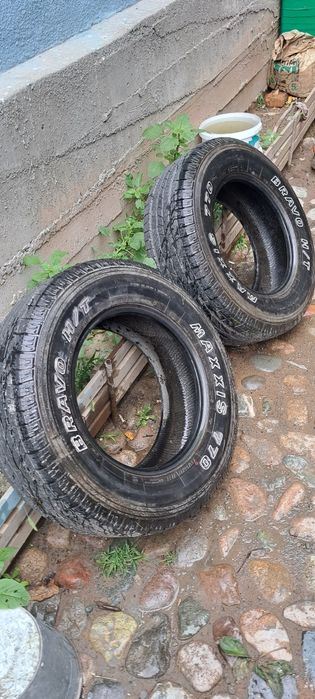 Шины максис лето