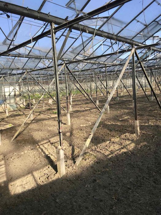 Стъклена оранжерия