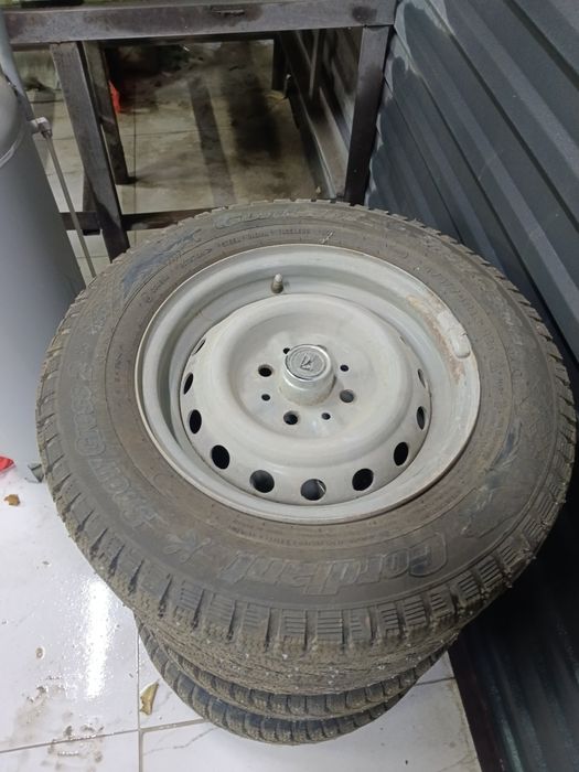 Шина шипы зимние