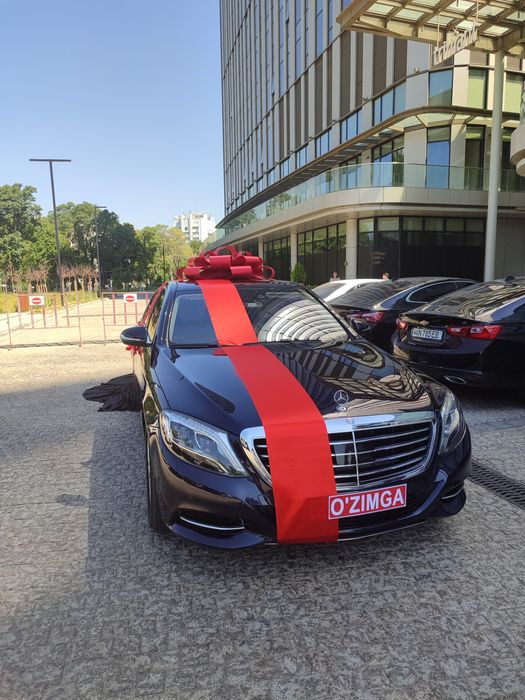 Bantik lentaпадарични бант,мошинага бантик