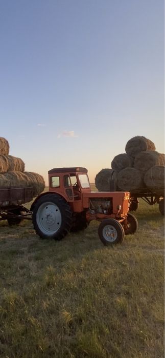 Трактор Т - 40. В хорошем состоянии