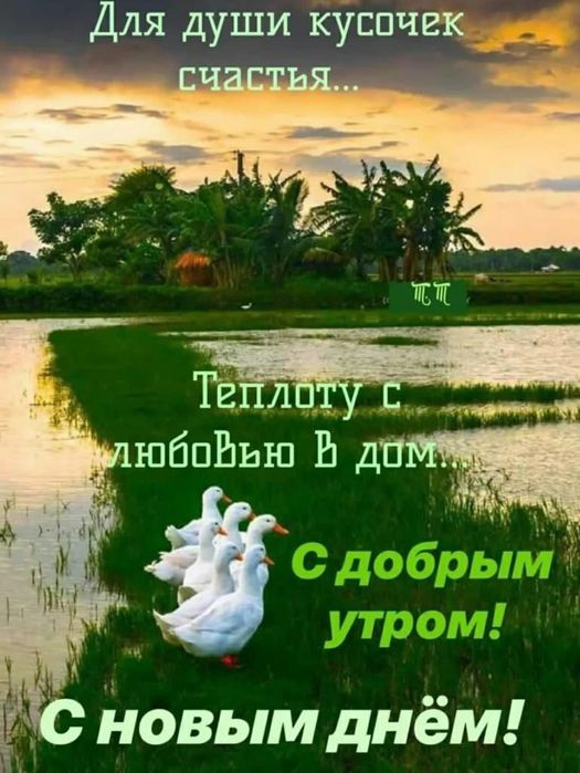 Комплект посуды высшего класса