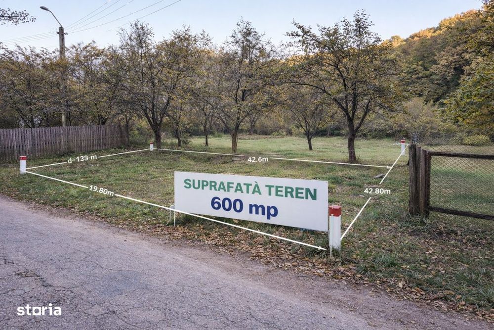 Teren intravilan 600 mp, liziera padurii, Balotesti, Posibilitate casa