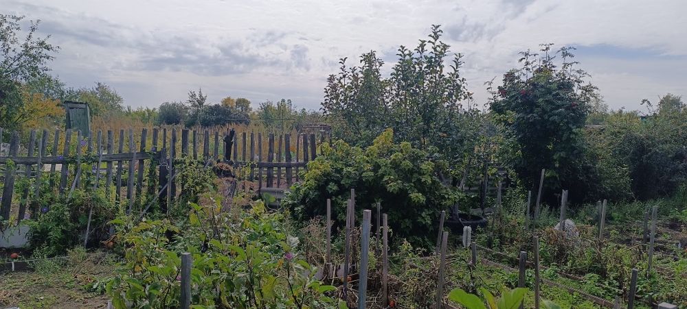 Продам дачный участок с домиком