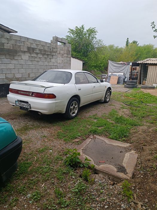 Карина ед тайота