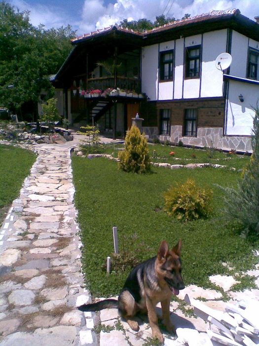 Къща в с. Медово