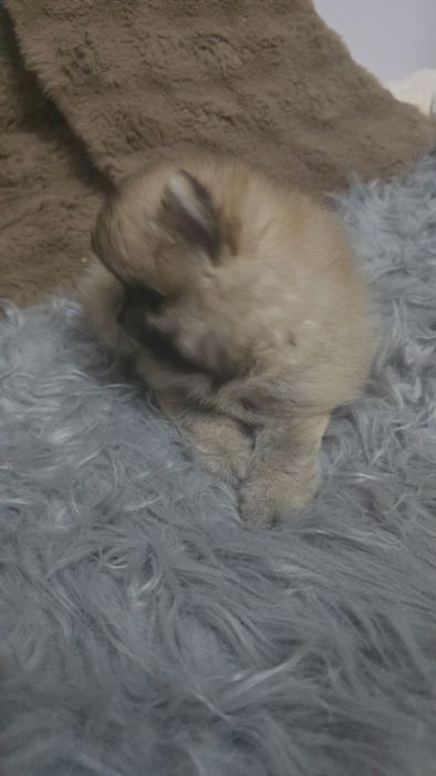 Предлагаю крутого мальчика