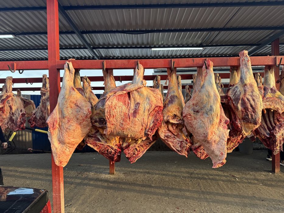 Қасапшы, қасап мал сою ет жіліктеу